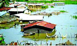 Downpour sacks homes in Yenogoa