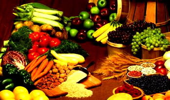 Agriculture must change as Climate is changes— FAO