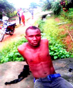 How suspect raids neighbours’ homes in their absence