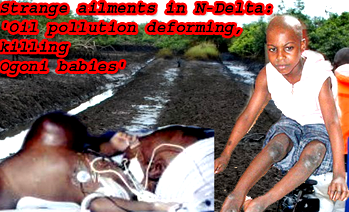 Increasing sterility in men, women and deformed babies in Ogoniland linked to oil pollution