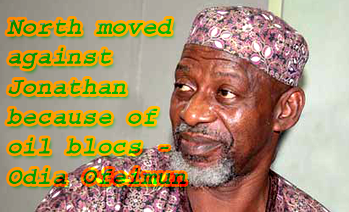 North moved against Jonathan because of oil blocs – Ofeimun