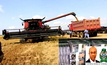 CBN approves N15.7b for additional rice mills
