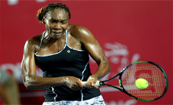 Venus Williams knocks out Kvitova for semi-final