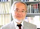 BREAKING: Yoshinori Ohsumi wins 2016 Nobel Prize in Physiology/Medicine