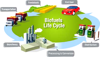 NNPC to commence commercial bio-fuel project in Nigeria, says GMD