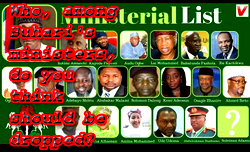 Who, among Buhari’s ministers, do you think should be dropped?