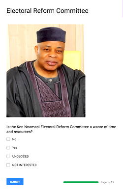Poll:Is the Ken Nnamani Electoral Reform Committee a waste of time and resources?