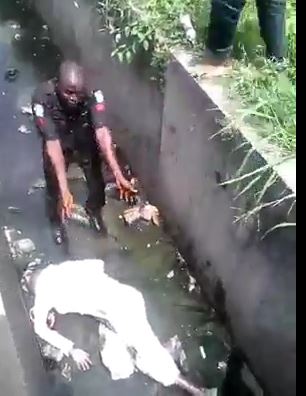 Viral video: Police man allegedly brutalizes old man to death, mob ...