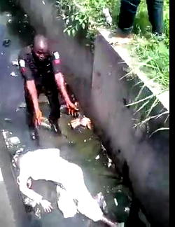 Viral video: Police man allegedly brutalizes old man to death, mob tries lynching him