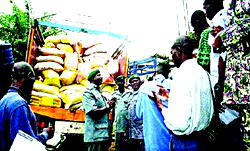 Smugglers record black yuletide
