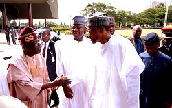 Tinubu, Buhari: Meeting of minds