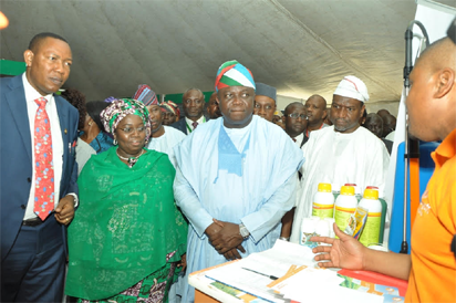 Ambode Removing threats to food security