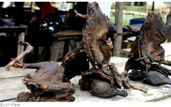 Monkey Pox: Ministry of Agric warns Nigerians, desist from bush meat consumption