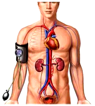 Proven Natural Solution For Diabetes And Hypertension