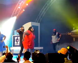 How Tiwa Savage, Davido, Phyno, Timaya, Ycee delivered first class entertainment at 3-Thrones concert