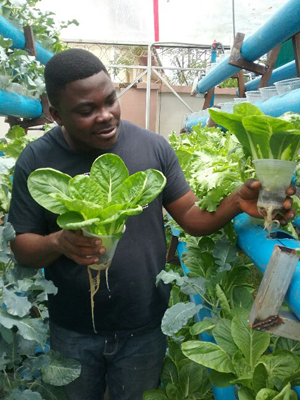 BIC Farms unveils Azolla, hydroponics farming