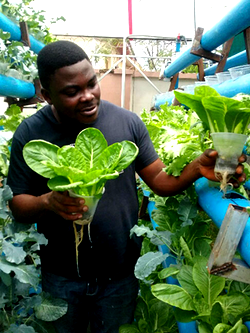 BIC Farms unveils Azolla, hydroponics farming