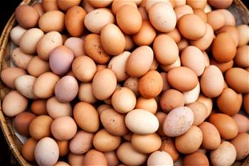 Aboloma urges poultry farmers to invest in egg powder