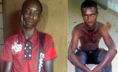 Herdsmen butchaer colleague over cattle