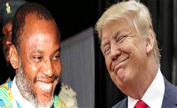 IPOB asks Trump to do spiritual cleansing in White house, try Obama at ICC