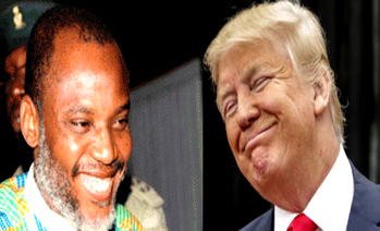 United States, Ndigbo are inseparable