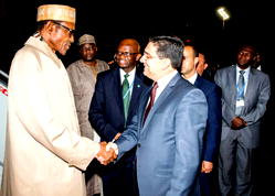 FG bars foreign professionals without Nigeria certification