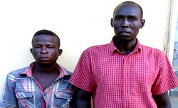 2 men rape pawpaw hawker in Ogun