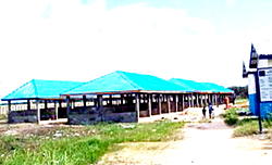 Bayelsa LG’s move to re-establish barter market thrills villagers