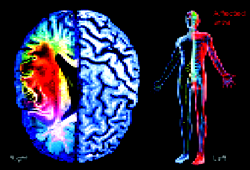 Diet Doctor: 5 foods that boost brain power