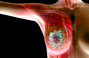 BREAST CANCER: Wives of Kaduna, Niger Govs hail Pink Polo Initiative