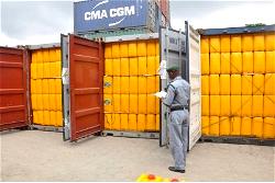Container laden with military uniforms, weapons disappears from Apapa Port