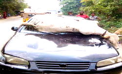 Meat of sick, dead animals sold in Nasarawa markets, says commissioner