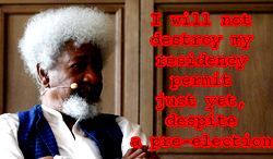 Ethnic attack as Soyinka bashing