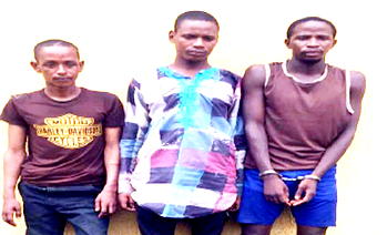 We killed Dangote’s strategist because  he wanted to cheat us – Kidnappers