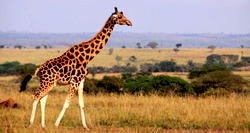 Budget-friendly African destinations to visit