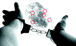 Crime reporting gets a boost with Hawk Eye