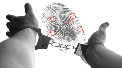 The ‘Hawk Eye’ that helps crime reporting