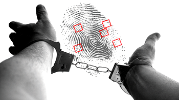 The ‘Hawk Eye’ that helps crime reporting