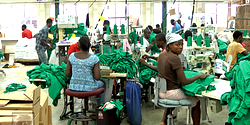 SME sector leaders appraise challenges in recession