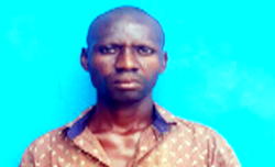 Man kills mother, buries her in septic tank