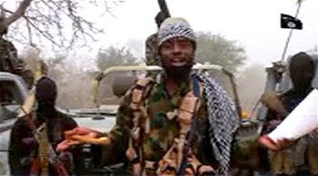 As you look for us in the bush, we shall hunt you in the cities, says Boko Haram