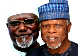 A divided House of Buhari
