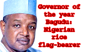 Bagudu: The Nigerian rice flag-bearer