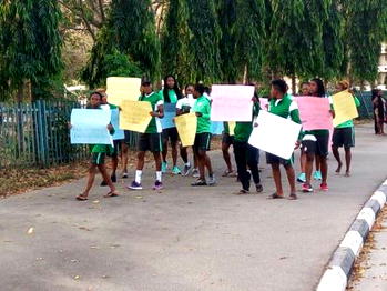 #PayFalcons :Senate assures Super Falcons of payment of outstanding allowances