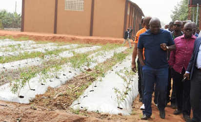 Agribusinesses, African smallholders seize $1trn food market