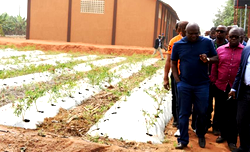 Nigeria and Economic Recession:  Way out (6)