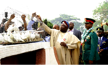 Photos: Gov. Ambode at 2017 Armed Forces Remembrance Day
