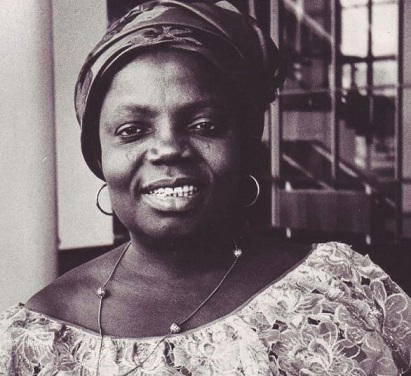 Buchi Emecheta: Encomiums for a literary Amazon - Vanguard News