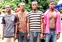 Fight over phone gives away  gang of robbers, rapists
