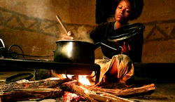 Economic hardship: Nigerians revert to firewood as cooking gas, kerosene prices surge 